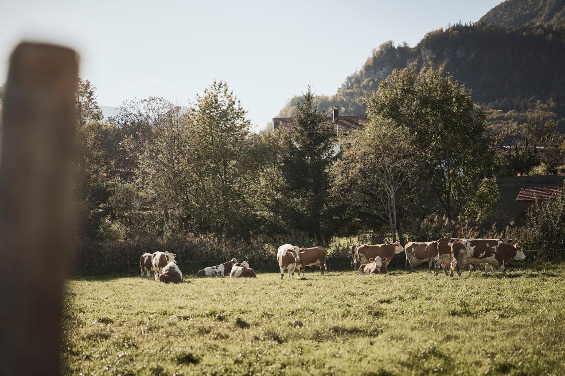 Rait'Ner Wirt Schleching Exterior foto