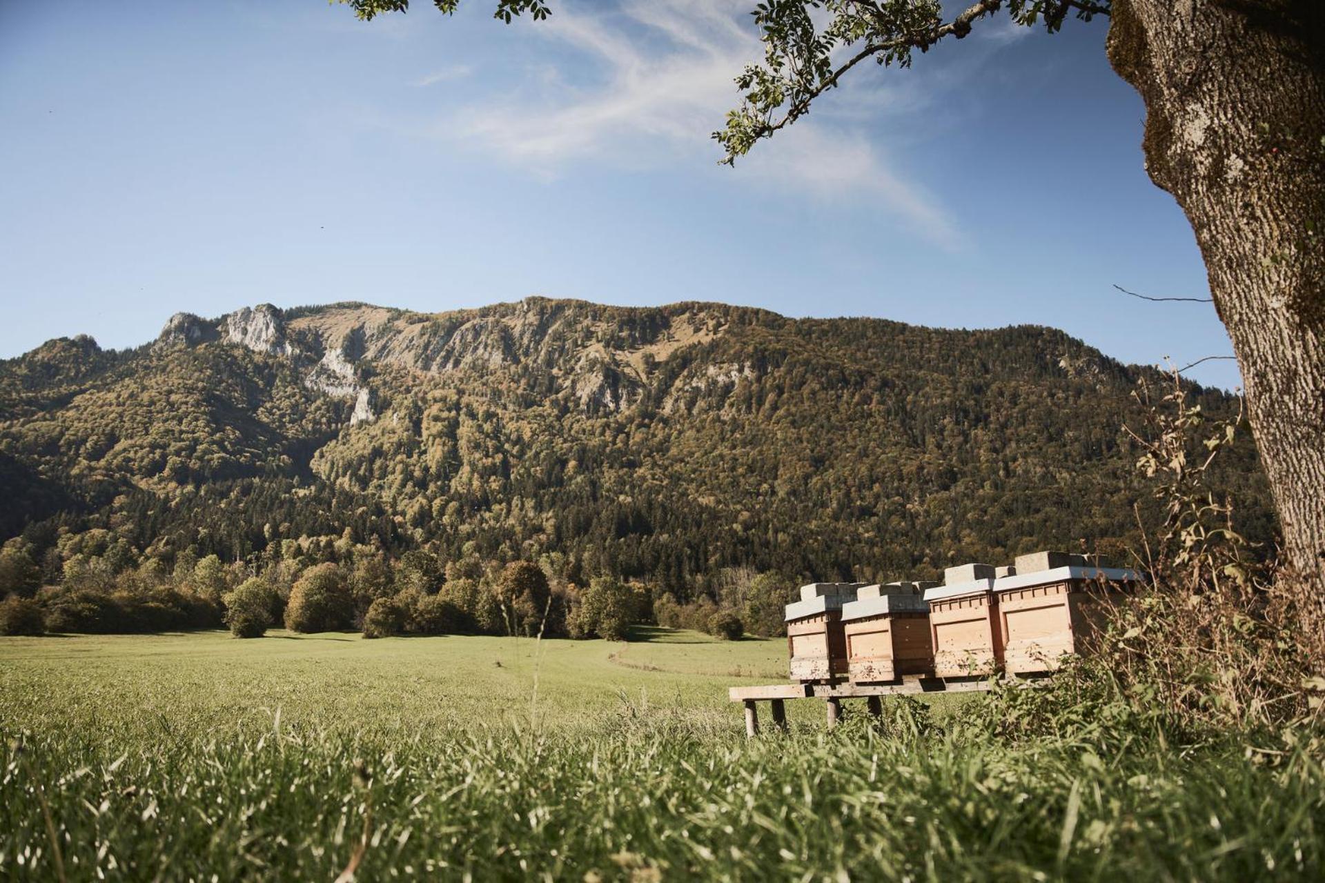 Rait'Ner Wirt Schleching Exterior foto